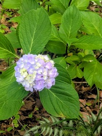PXL_20260606_052328209~2