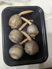 PXL_20251221_123547398