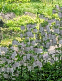PXL_20260520_022501209~2