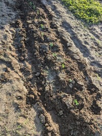 PXL_20241104_062200992