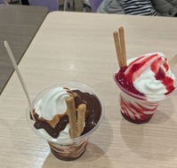 PXL_20250410_092952549