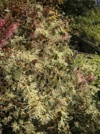 PXL_20260408_012058820~2