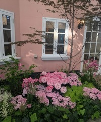 PXL_20260411_061651094~2