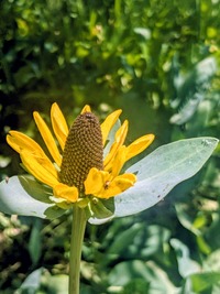PXL_20260530_011115241~2