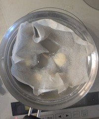 PXL_20251229_020152720