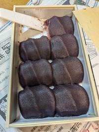 PXL_20241208_084706746