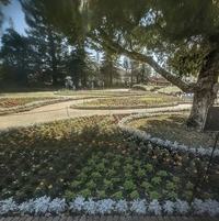 PXL_20260411_052904339~2