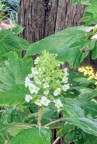 PXL_20260516_015012405~2