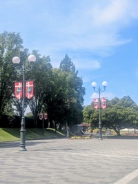 PXL_20260905_014842307~2