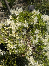 PXL_20260408_014027891