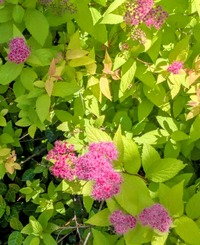 PXL_20260509_011948476~2