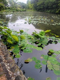 PXL_20260523_030617720~2