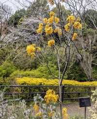 PXL_20260401_010428556~2