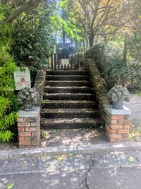 PXL_20260530_012443299~2