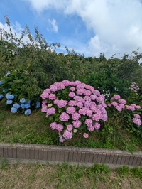 PXL_20250621_002521682