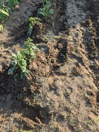 PXL_20241104_062157554