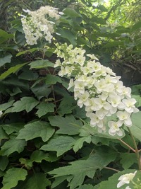PXL_20260523_033355436