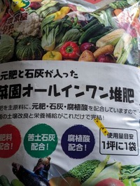 PXL_20240412_005928566