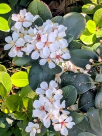PXL_20260509_005940335~2
