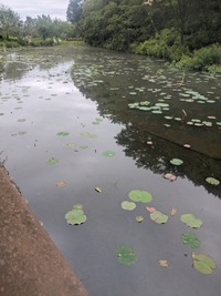 PXL_20260523_030539056