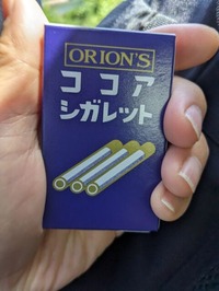 PXL_20240525_033732591