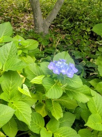 PXL_20260606_052602913~2