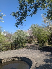 PXL_20260408_014458706