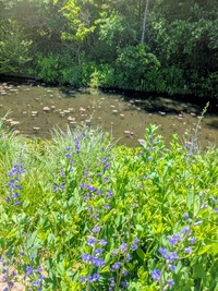 PXL_20260509_011709027~2
