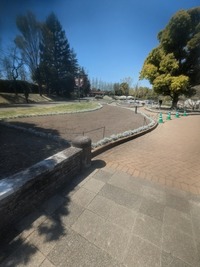 PXL_20260408_015855429~2
