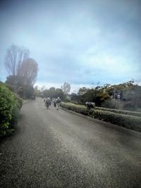 PXL_20260401_003207884~2