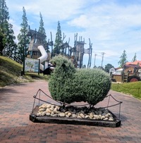 PXL_20260504_004004658~2