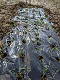 PXL_20241104_030513984