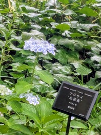 PXL_20260606_052446670~2