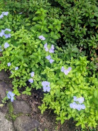 PXL_20260606_055444931~2