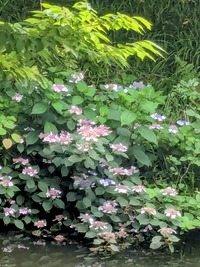 PXL_20260606_050757065~2
