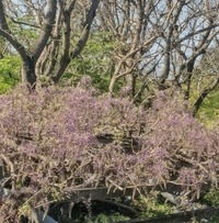 PXL_20260411_053747134~2