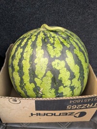 PXL_20250712_232847922