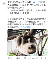 Screenshot_20250716-153108