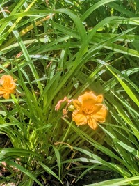 PXL_20260610_013719694~2