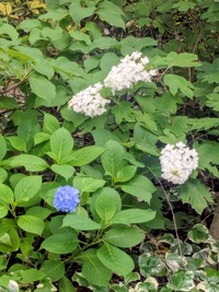 PXL_20260606_052338720~2