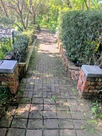 PXL_20260504_011303931~2