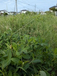 PXL_20240824_230517049