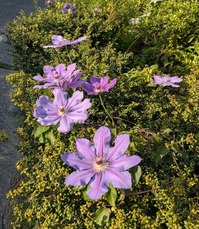 PXL_20250429_222043545