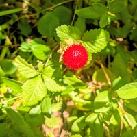 PXL_20260520_022712034~2