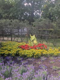PXL_20260720_021213902