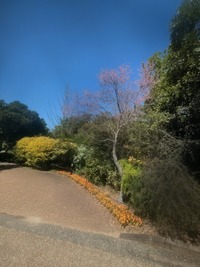 PXL_20260411_041551770~2