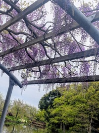 PXL_20260415_020425549~2