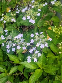 PXL_20260606_053441375~2