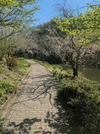 PXL_20260408_010919172~2