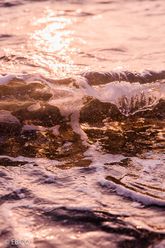 波が琥珀色に染まる瞬間 千葉県館山市 北条海岸 癒しの動画作家 えびこのブログ